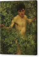 boy-in-bush